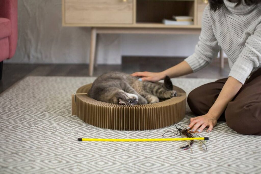 A person gently pets a relaxed cat lying on a circular cardboard scratche
