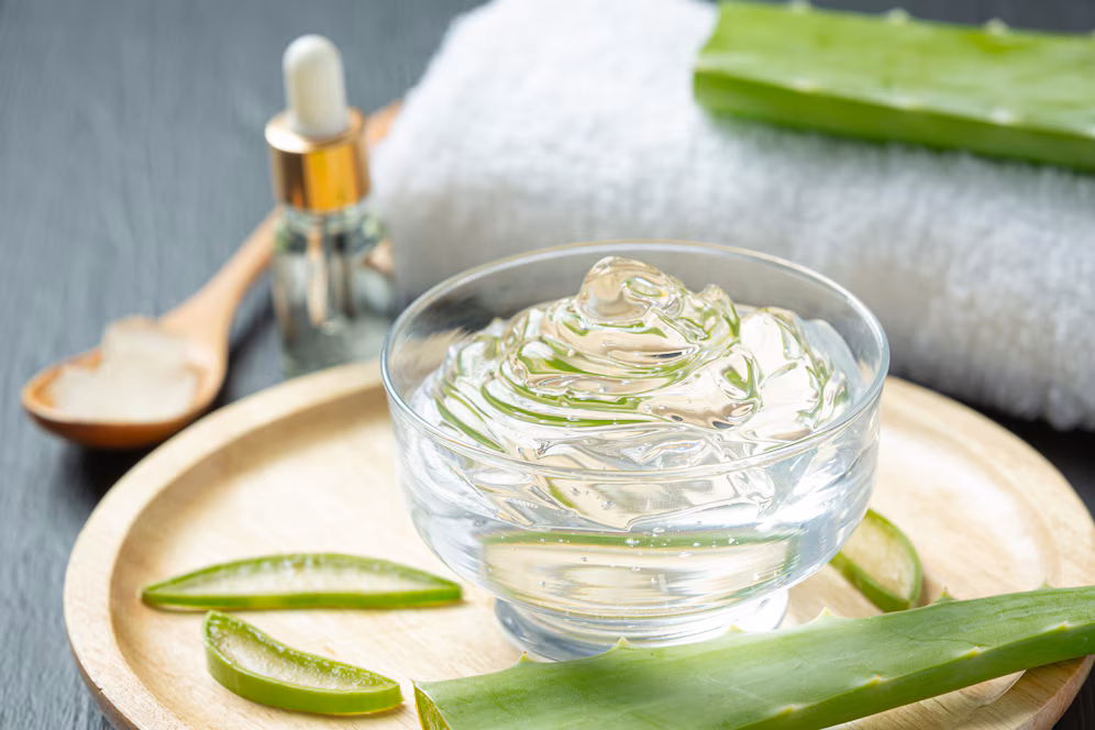 aloe vira Gel can be used for cuts and skin care
