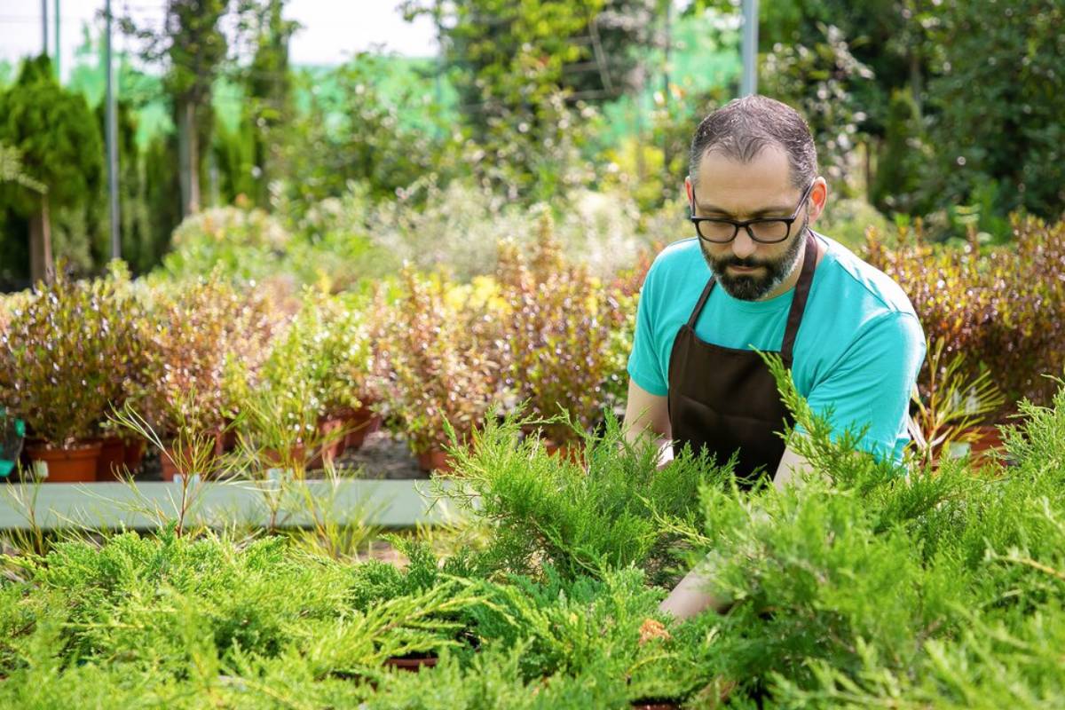 Man in glasses and apron tending to plants in a lush garden nursery.