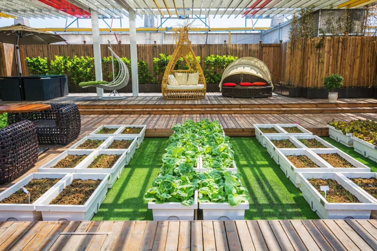 Urban garden on a rooftop with rows of vegetables in white containers, surrounded by wooden decking and outdoor furniture.
