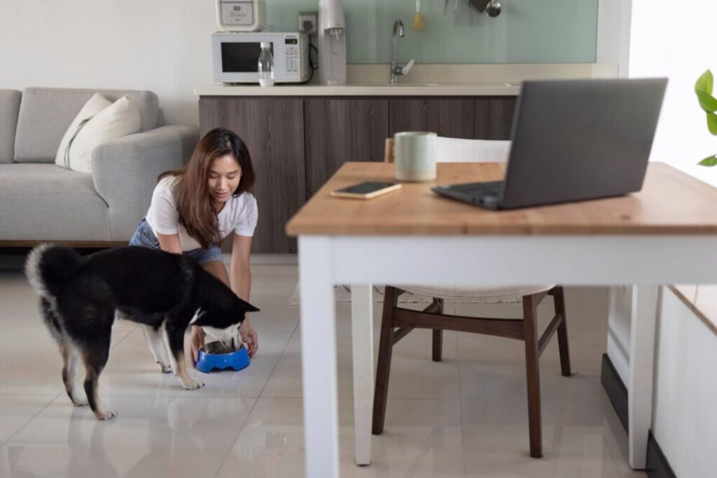 A woman feeds her black and white dog in a modern kitchen while a laptop is open on a nearby table.